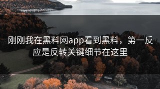 刚刚我在黑料网app看到黑料，第一反应是反转关键细节在这里