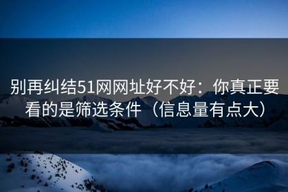 别再纠结51网网址好不好：你真正要看的是筛选条件（信息量有点大）