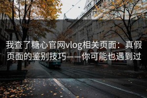 我查了糖心官网vlog相关页面：真假页面的鉴别技巧——你可能也遇到过
