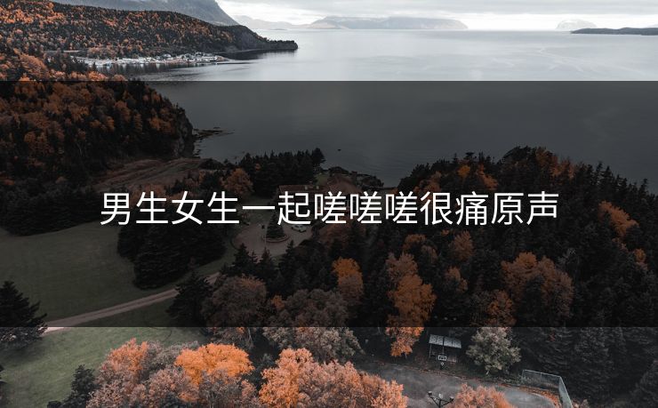男生女生一起嗟嗟嗟很痛原声