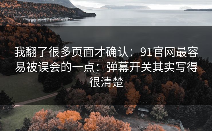 我翻了很多页面才确认：91官网最容易被误会的一点：弹幕开关其实写得很清楚