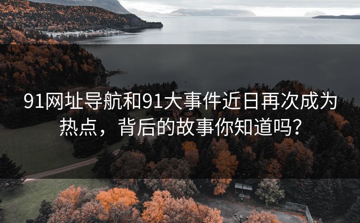91网址导航和91大事件近日再次成为热点，背后的故事你知道吗？