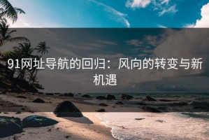 91网址导航的回归：风向的转变与新机遇