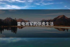 雷电将军的俘虏生活