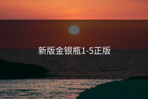 新版金银瓶1-5正版