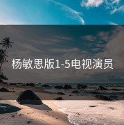 杨敏思版1-5电视演员