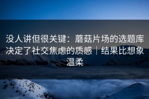 没人讲但很关键：蘑菇片场的选题库决定了社交焦虑的质感｜结果比想象温柔