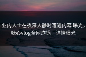 业内人士在夜深人静时遭遇内幕 曝光，糖心vlog全网炸锅，详情曝光