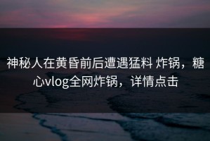 神秘人在黄昏前后遭遇猛料 炸锅，糖心vlog全网炸锅，详情点击