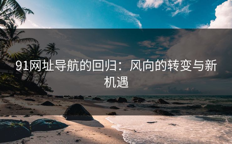 91网址导航的回归：风向的转变与新机遇